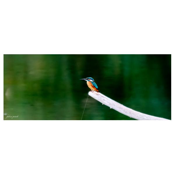 PHOTO84, CLUB, 84 , LUBERON